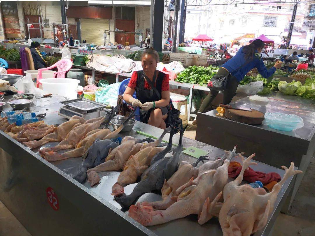 今天文山市关闭活禽交易市场还能吃到鸡鸭鹅吗