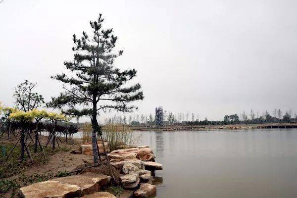 航拍下的南乐森林公园有多美看一眼就喜欢