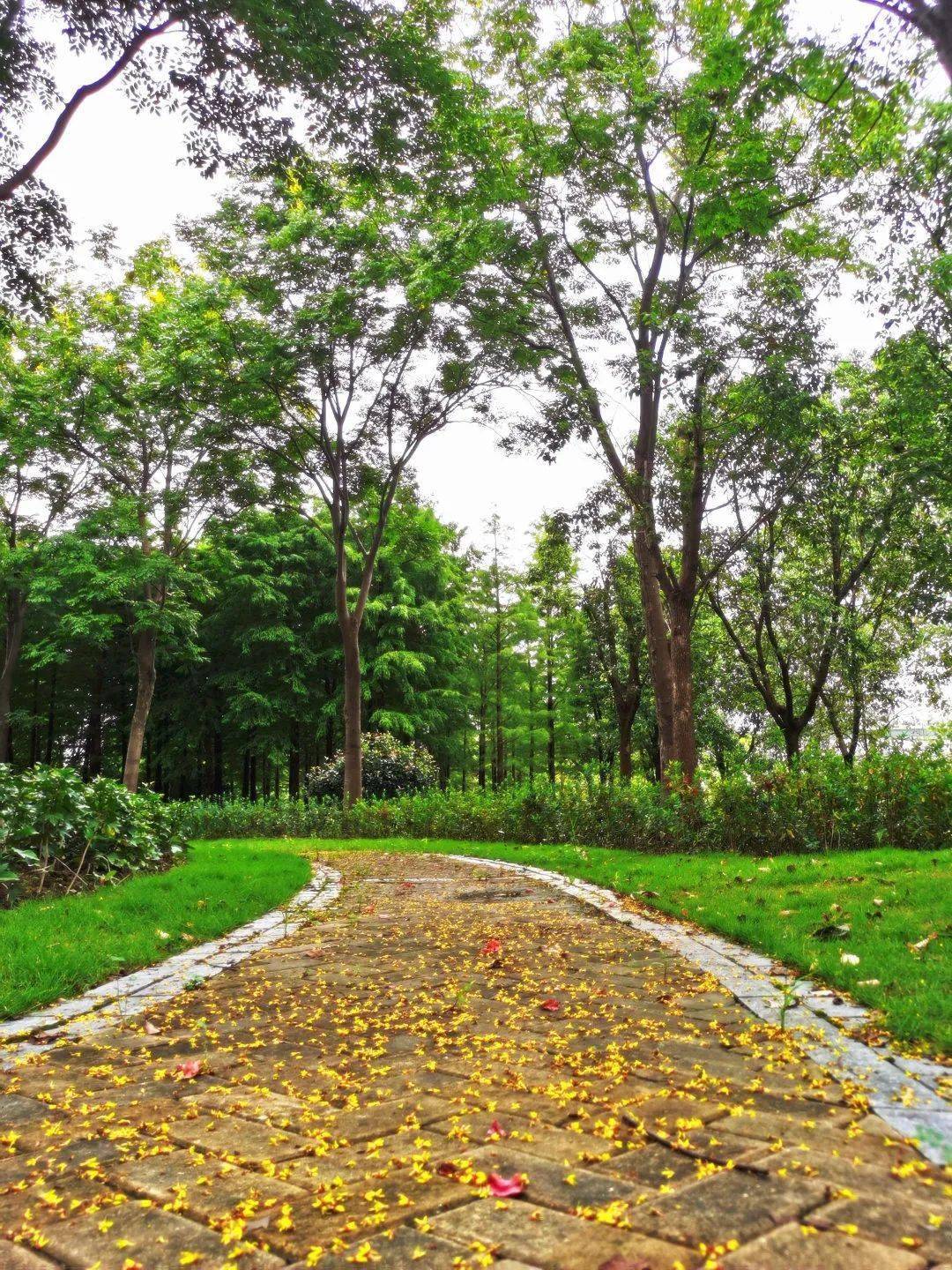 新建成的虹桥体育公园长啥样?一起来探秘——_长宁