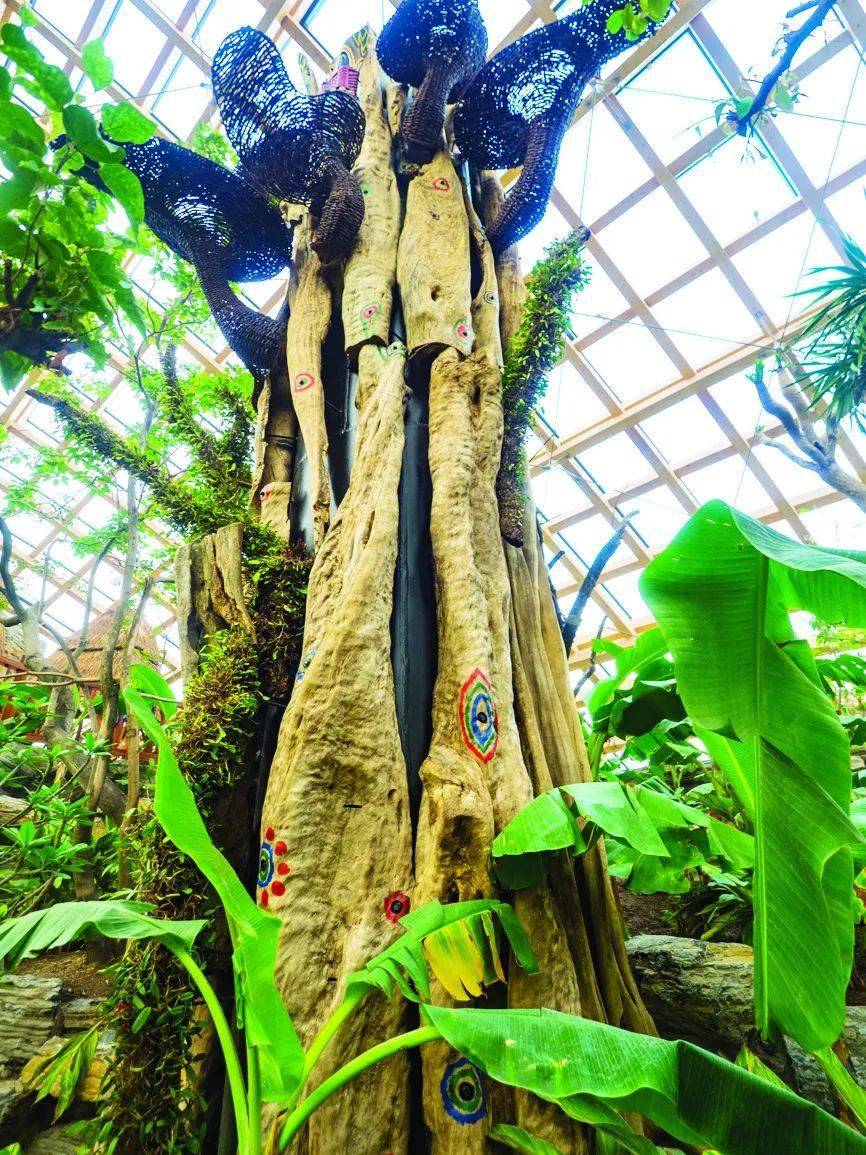 咱大太原的植物園!_手機搜狐網