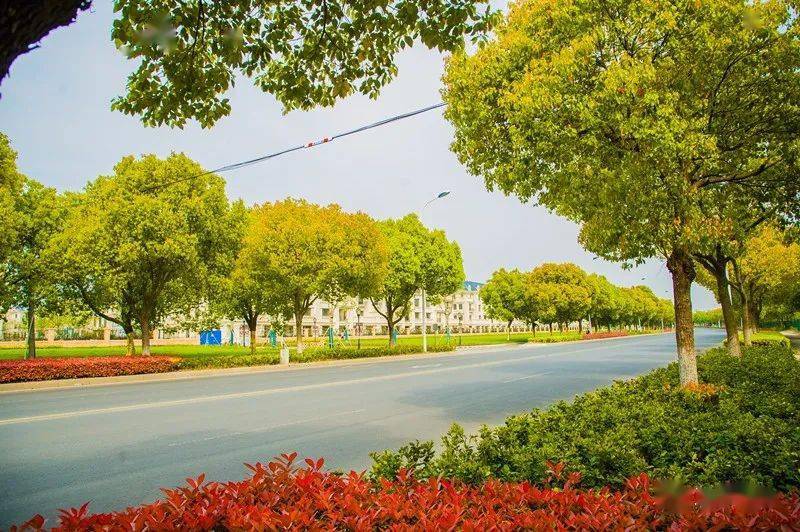 人民永远站c位玉祁街道改善人居品质提升城市精细化管理水平