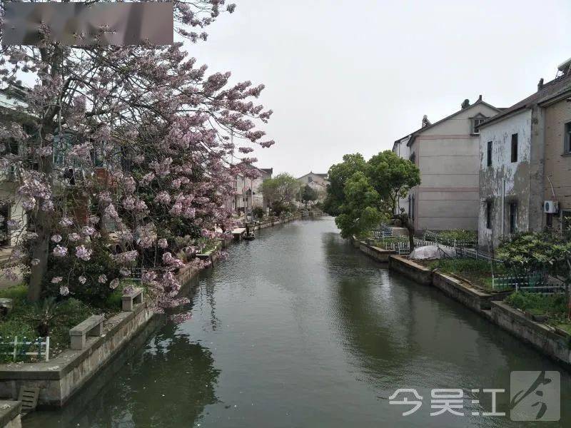 吴江又三个村被选上!幸福!