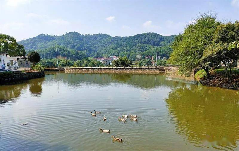 乡土桐城大关镇乡村美丽情有归依