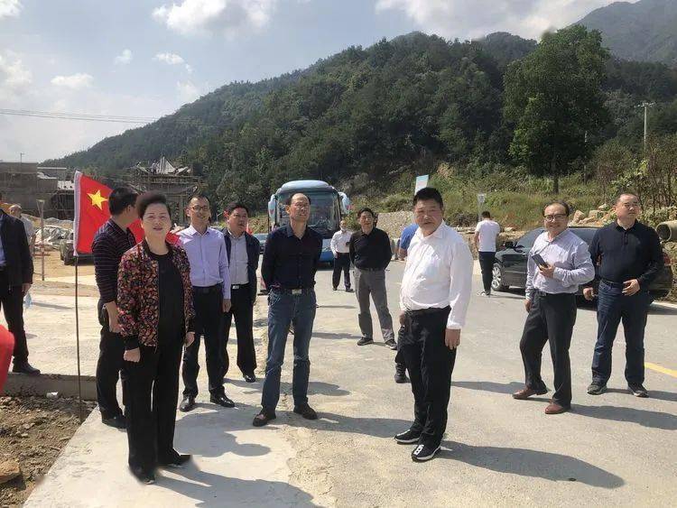 英山县人大常委会视察县交通重点项目建设