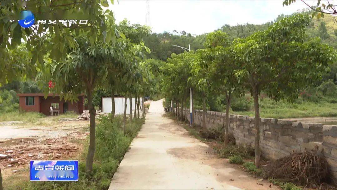 南安市官桥镇泗溪村村委会主任 王春生发展得好可以带动周边的村民