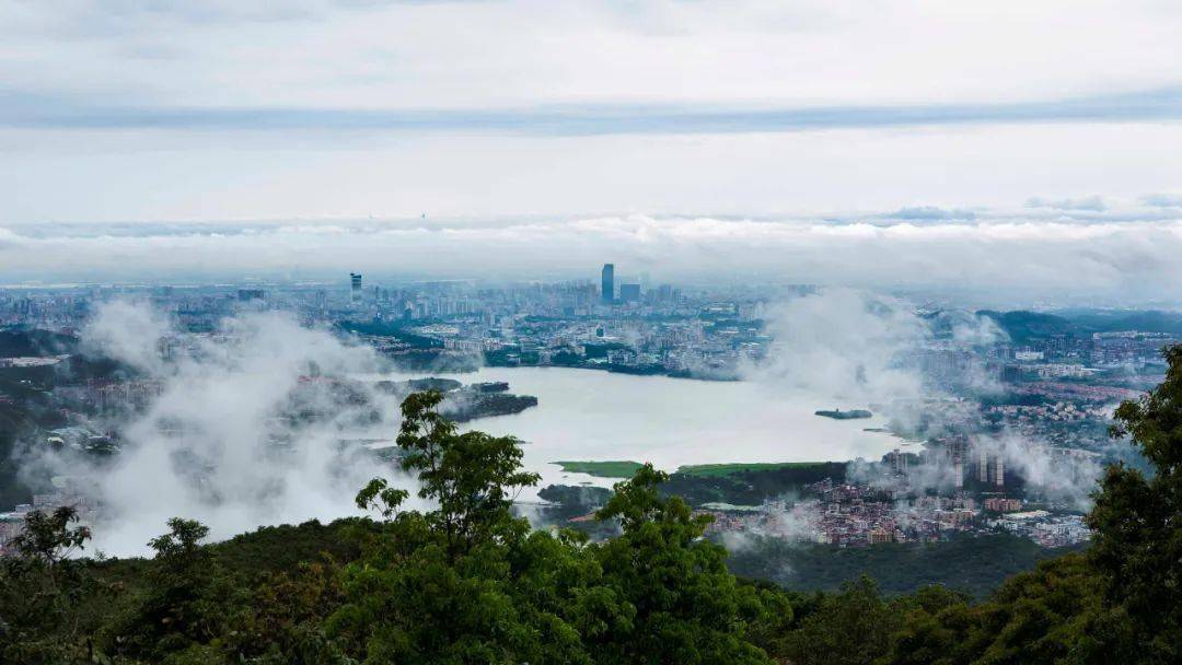 东莞市大岭山森林公园2020年国庆游园指引_景区