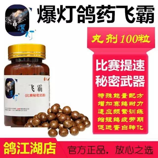 快速鸽的眼部特征!