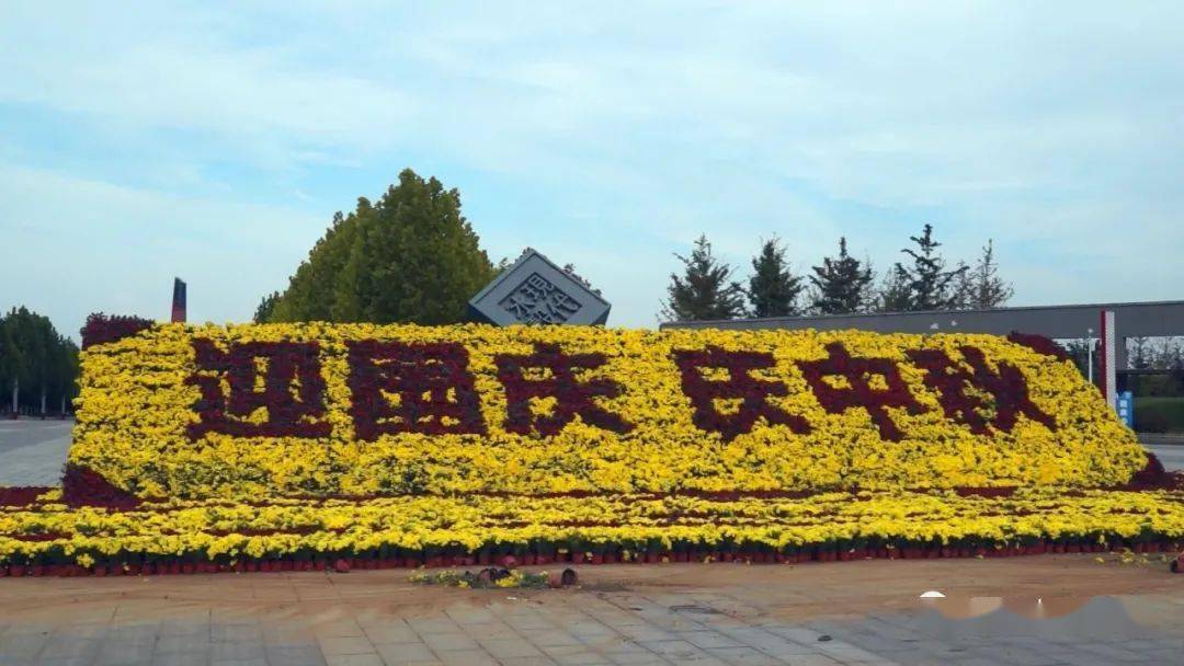 在北大出口,人民广场,银都广场,沭河公园等9处场所,色彩鲜艳,品种多样