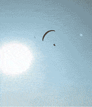 爆笑gif动态图:三年不清洁,就为了一瞬间的爽快