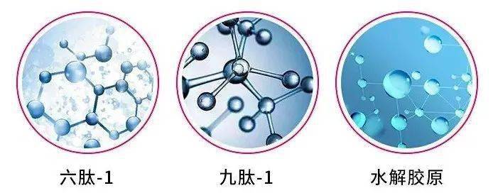 apptti研发团队将水解蛋白,与抗抵御衰老因子六肽-1结合,与高纯的亮肤