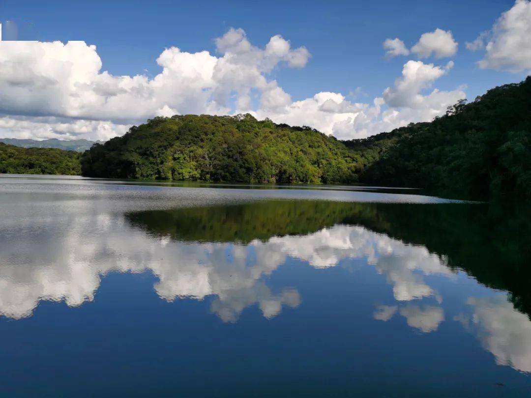 西盟"眼"| 国庆看西盟 龙潭风景美!_西盟县