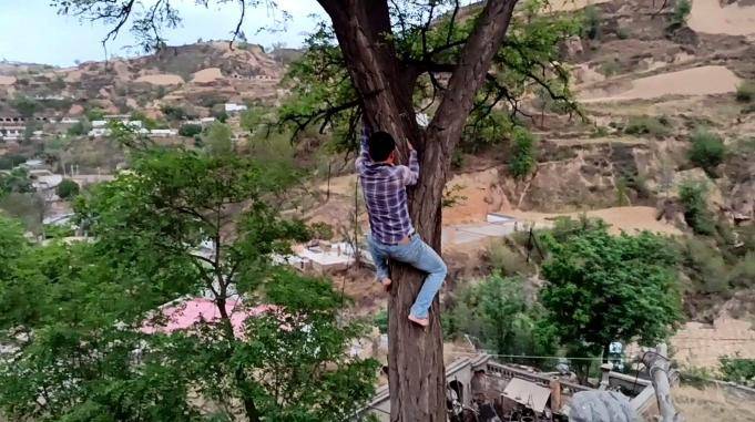 光脚爬树太过隐20年前学的本事现在用上了媳妇儿孩子好羡慕