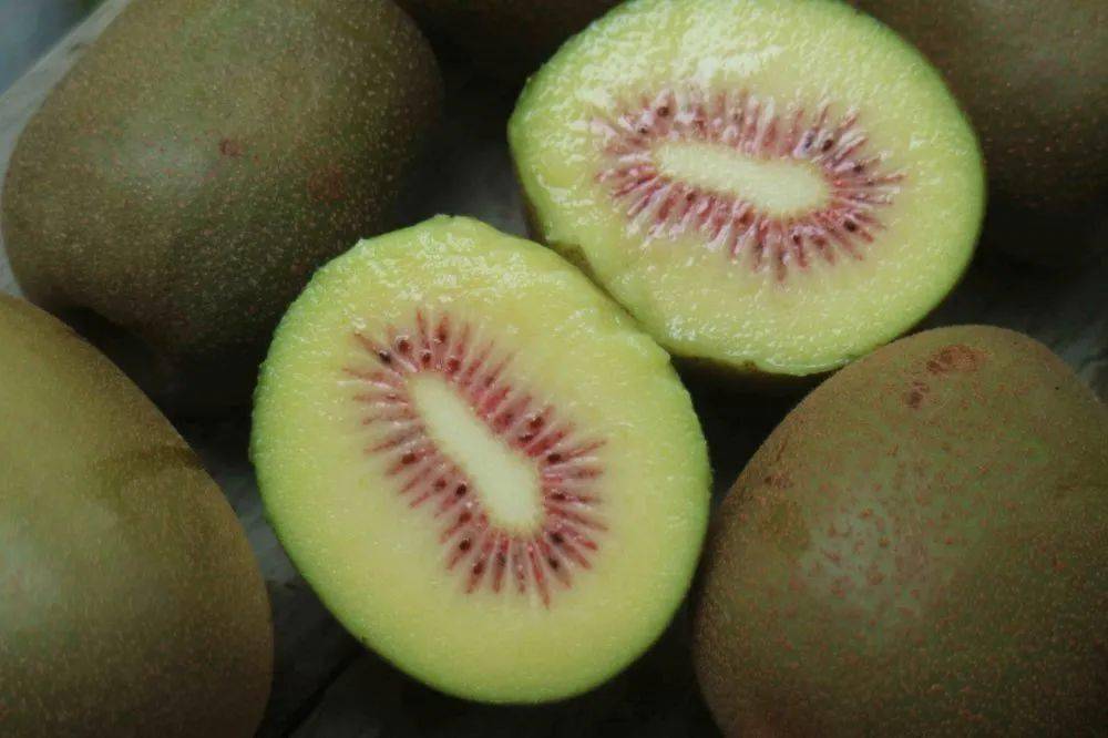 同安镇尾林村猕猴桃香飘满园