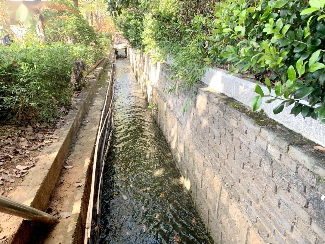 丽江一醉酒旅客摔入水流湍急的水沟见状一小伙做了这个举动