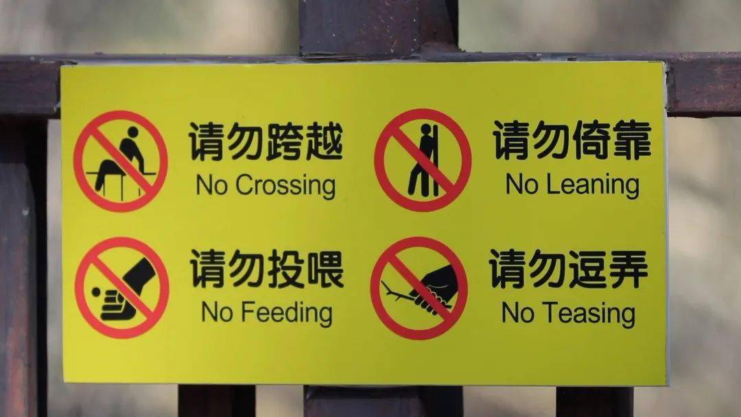 动物园禁止喂食警示牌图片