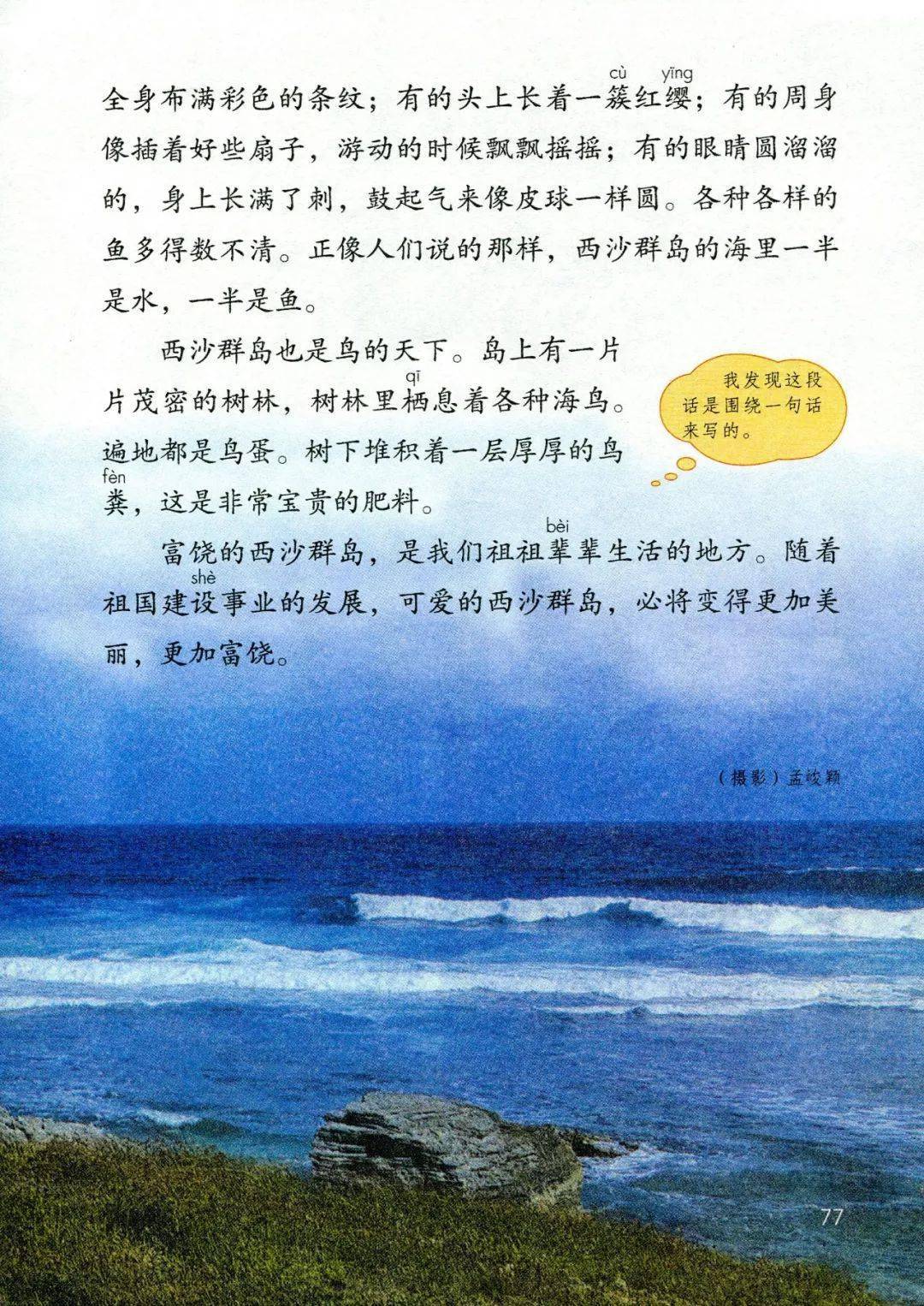 教学视频|部编版三年级语文上册第18课《富饶的西沙群岛》