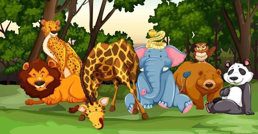 10月6日外语体验互动之"jungle animal"