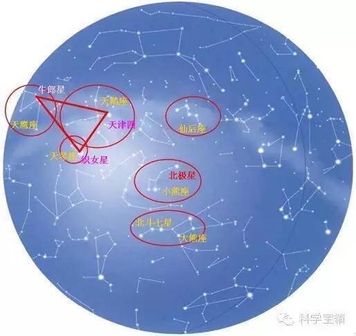 《美丽的星座》教学指南