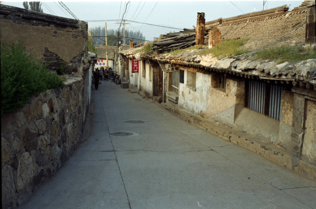 远黛近水绿眏红,隐约河边十数人,抛竿摘鱼下诱饵,忙坏花园老渔翁.