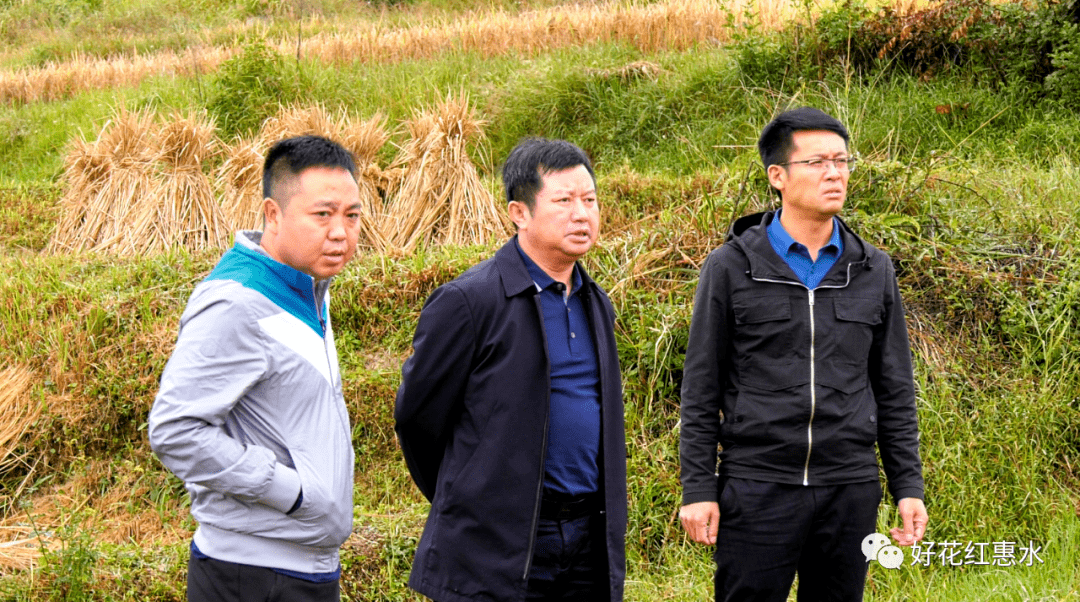 万庆华在乡镇检查时强调:助民颗粒归仓抓好秋冬农业_手机搜狐网