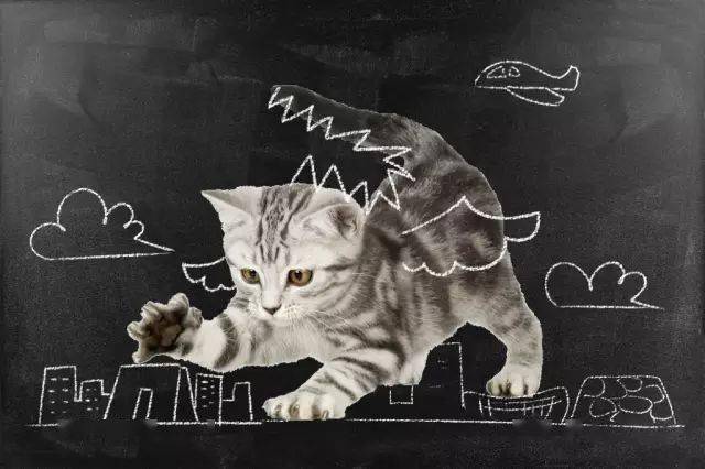 所以今天小编给你萌带来了终极版,看看如果你家猫咪跳上黑板,你能给它