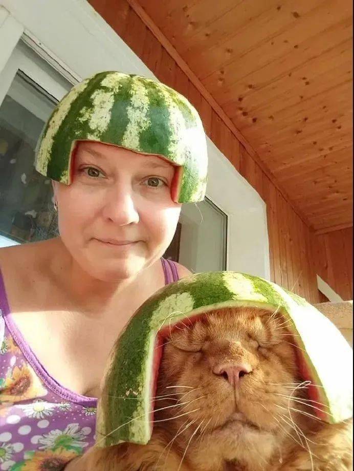 特意给猫和自己做了个西瓜头盔,还拍照留念