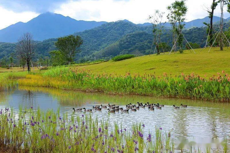 从化三大湿地公园盘点