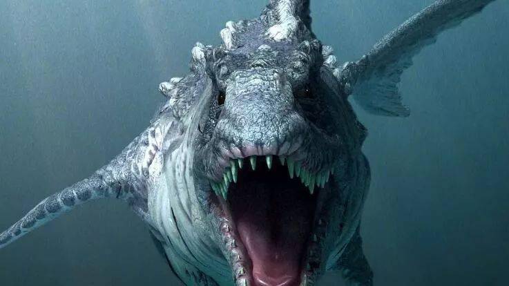 世界最恐怖的鲨鱼图片