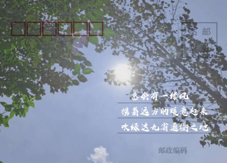 李丹丹陈玥雯会计12005班黄翔张伊凡张坤然会计12006班陈天泽丁岚青