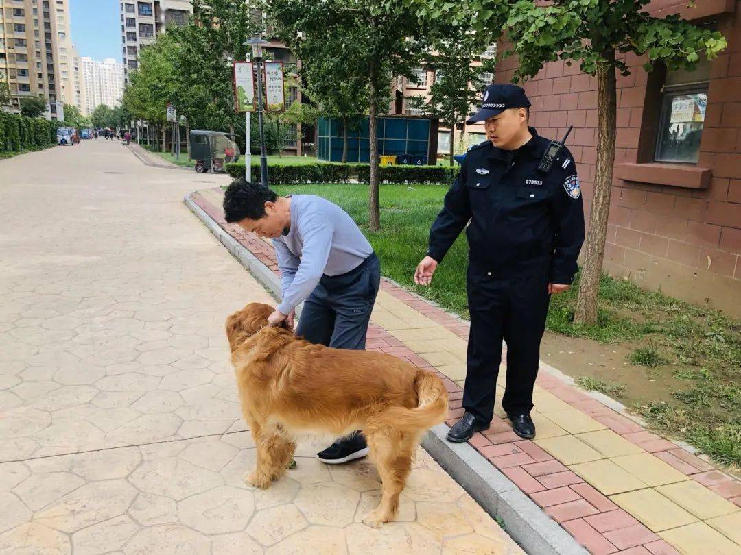 香河小区里养狗的注意!_文明