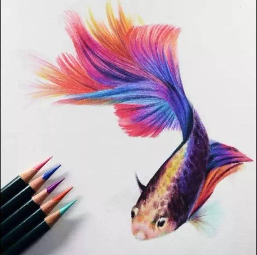 ▼细纹的水彩纸(素描纸,牛皮纸都行)水溶/油性彩铅(尽量色号多一点的)