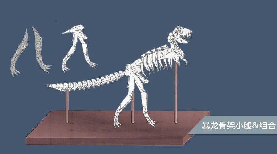 no2225折纸霸王龙骨架模型来了小腿组合