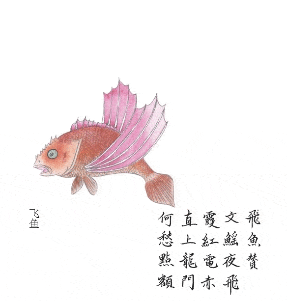 但因其妙趣横生的呈现,颇受清朝历代皇帝喜爱,被称为"乾隆皇帝的枕边