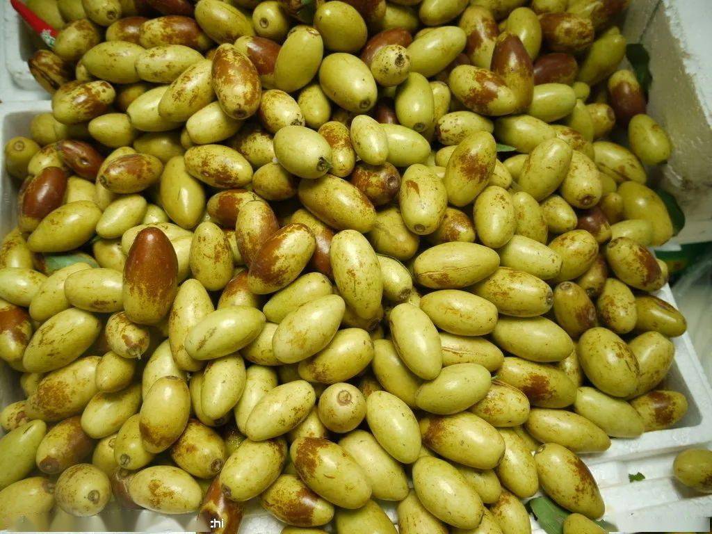 秋天吃枣,长寿不老!国医大师这么吃,功效惊人!