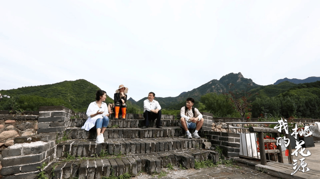 推介官聂一菁和明星体验官孙宁与卢子枫将带领我们在山今宿这山林深处