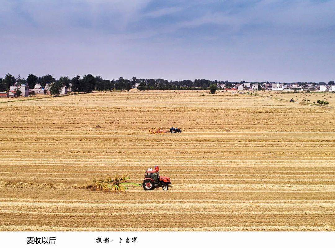 看靈璧大地五穀豐登糧滿倉