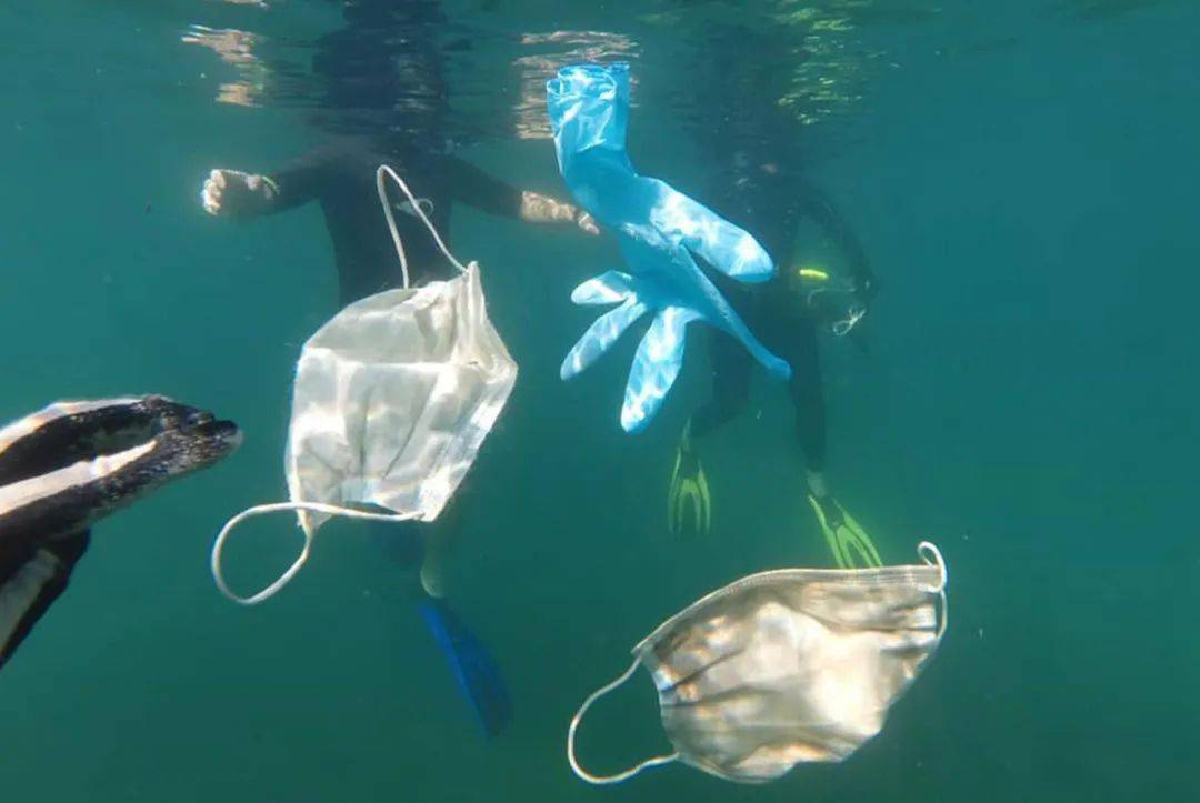 乱丢口罩害惨小动物一个小动作就能改变很多