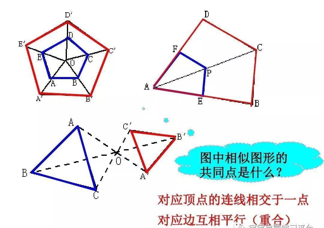 北师大版九年级上48 图形的位似