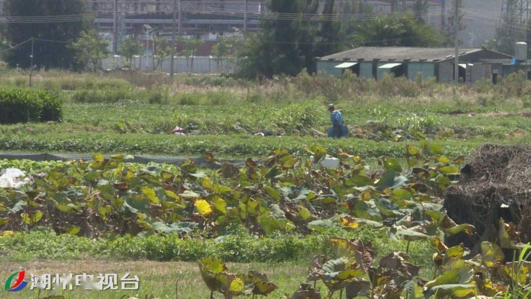 在饶平县大埕湾,蓝天碧海,景色优美,海上渔船捕捞作业,自由航行,临近