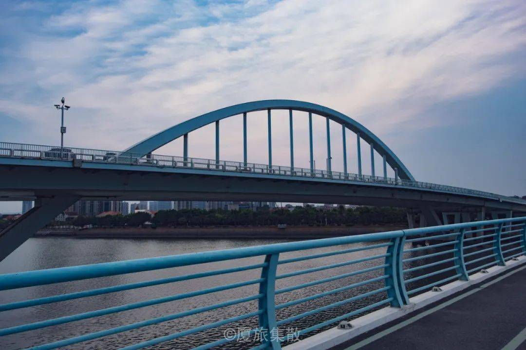 美如画厦门这片大花波斯菊花海惊艳绽放地点就在