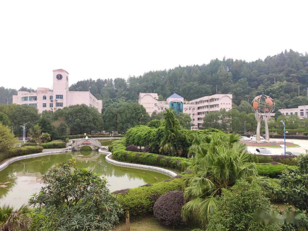 湘西这三座人行天桥已基本完工并投入使用!