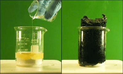 浓硫酸与蔗糖的"黑面包"反应至于酸性,对于我们哺乳动物来说,是唯一