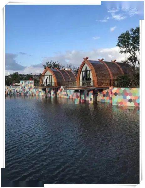 赵五一美篇 金秋十月来到奉贤五四农场