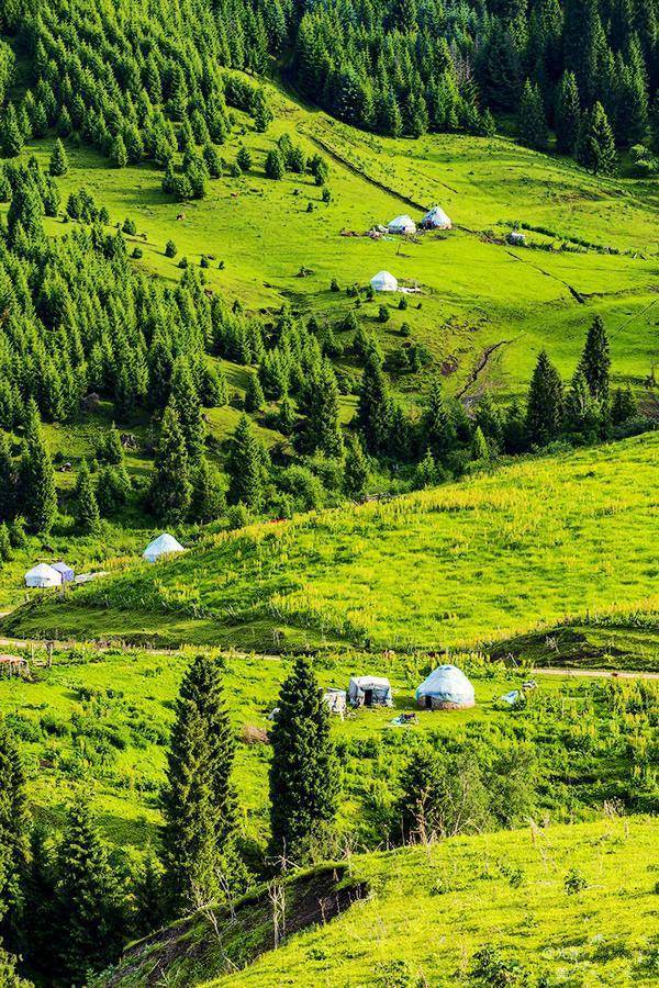 新疆伊犁恰西草原