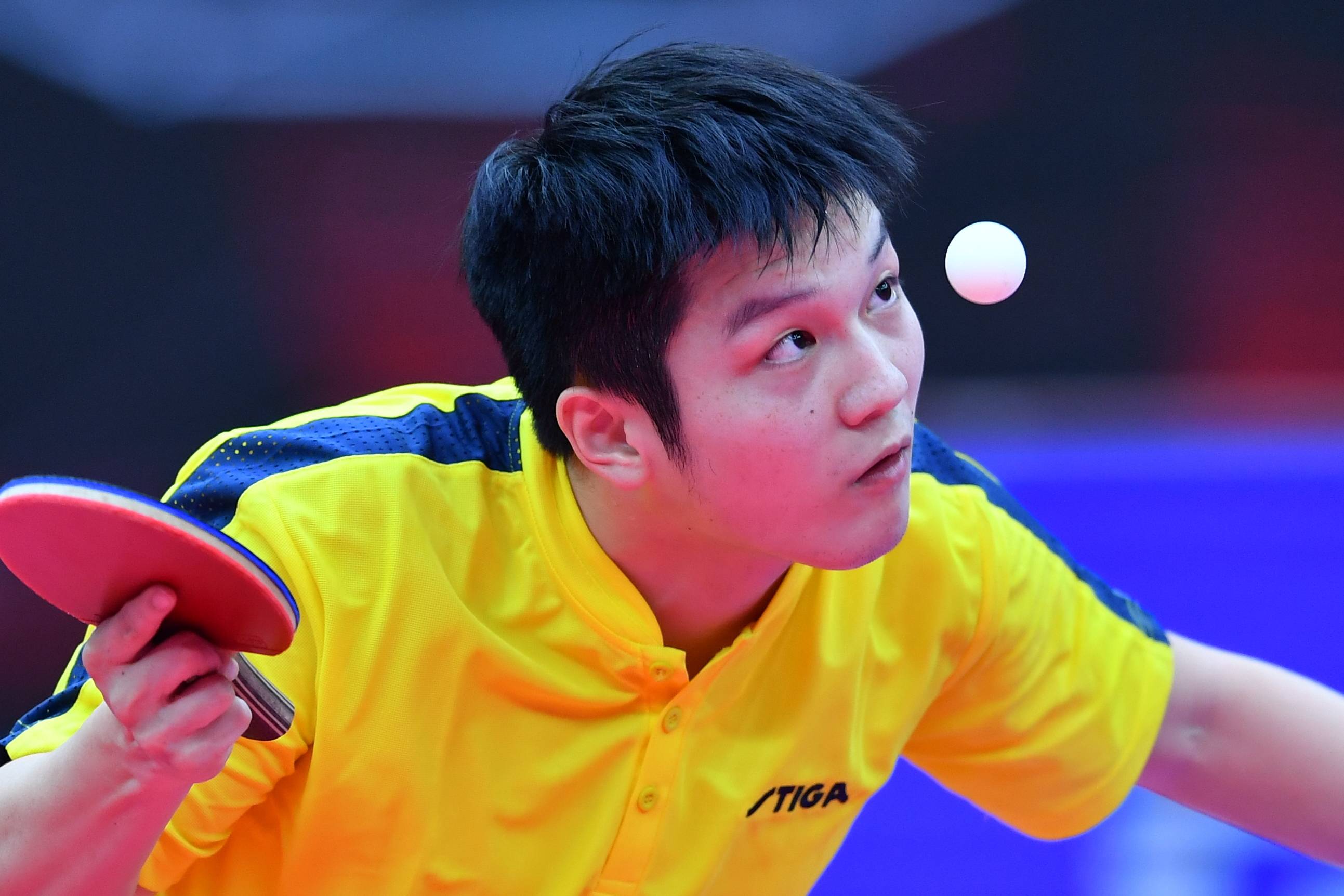 乒乓球——全国锦标赛:樊振东获得男子单打冠军