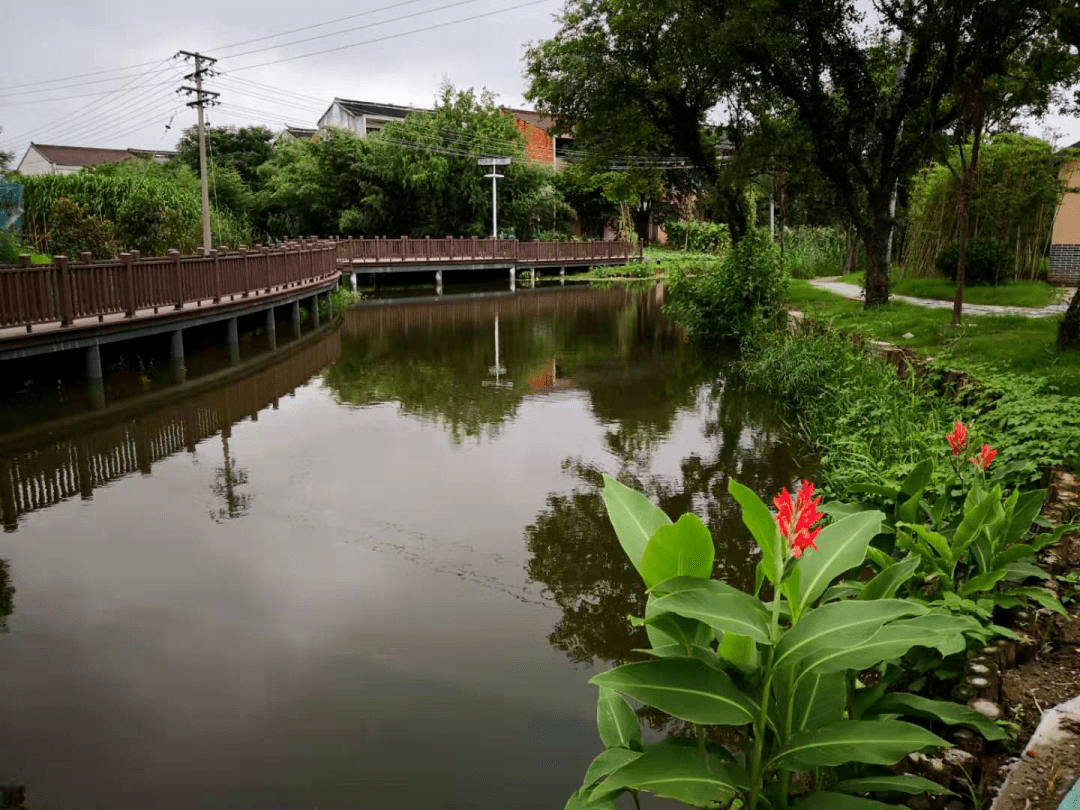 溪桥美丽乡村建设,完成了清淤疏浚,水系沟通,岸坡整治,景观绿化等工程