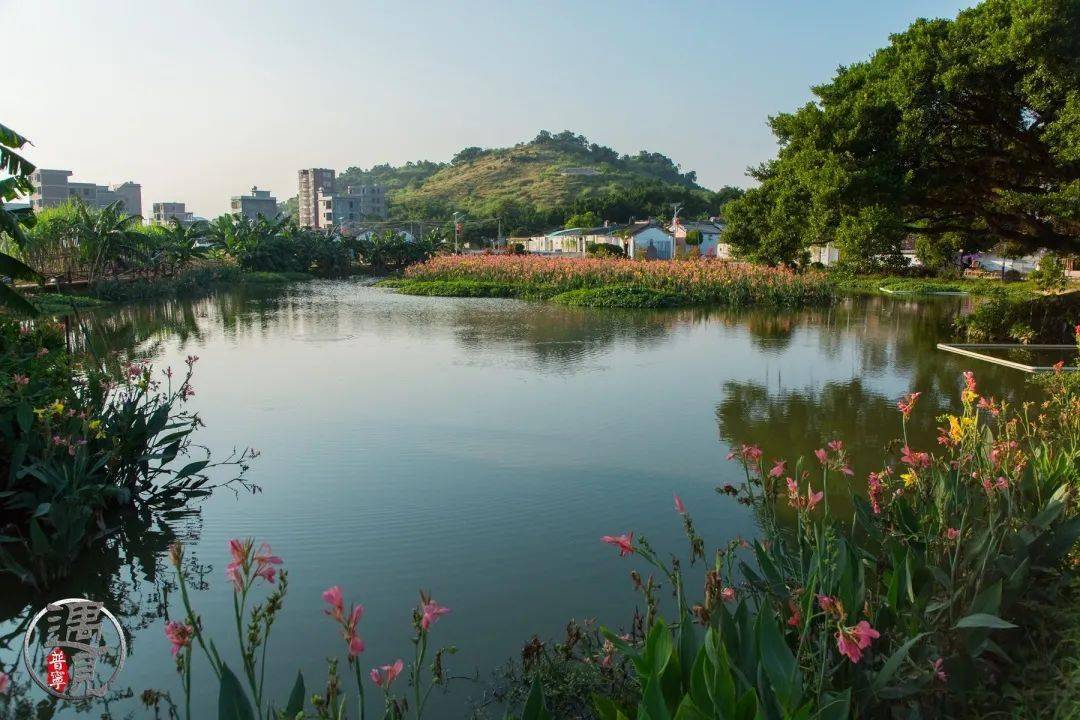 初秋的普宁横山尾村竟藏着这么多美景_南径镇