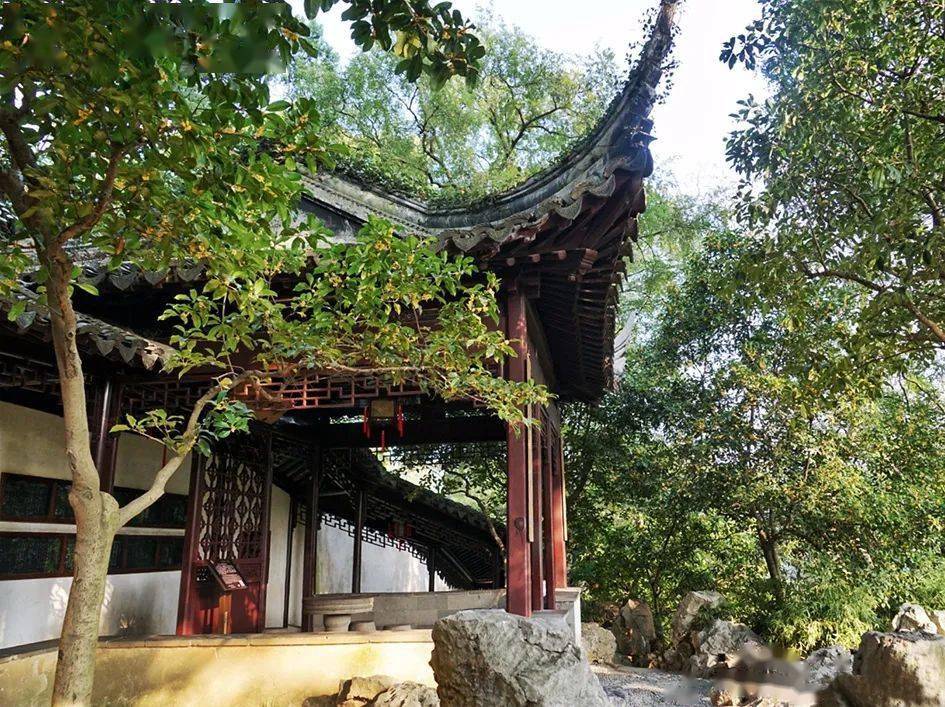 寻味苏州之秋打卡⑦处绝佳赏桂地用镜头留住这一抹香气