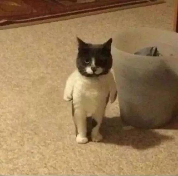 人吓人真的会吓死人!看完后我整个人都不好了…返回搜狐,查看更多