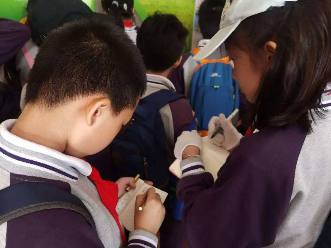 戴上手套,拿上镰刀,在工作人员和老师手把手的示范和教授下,一把稻子